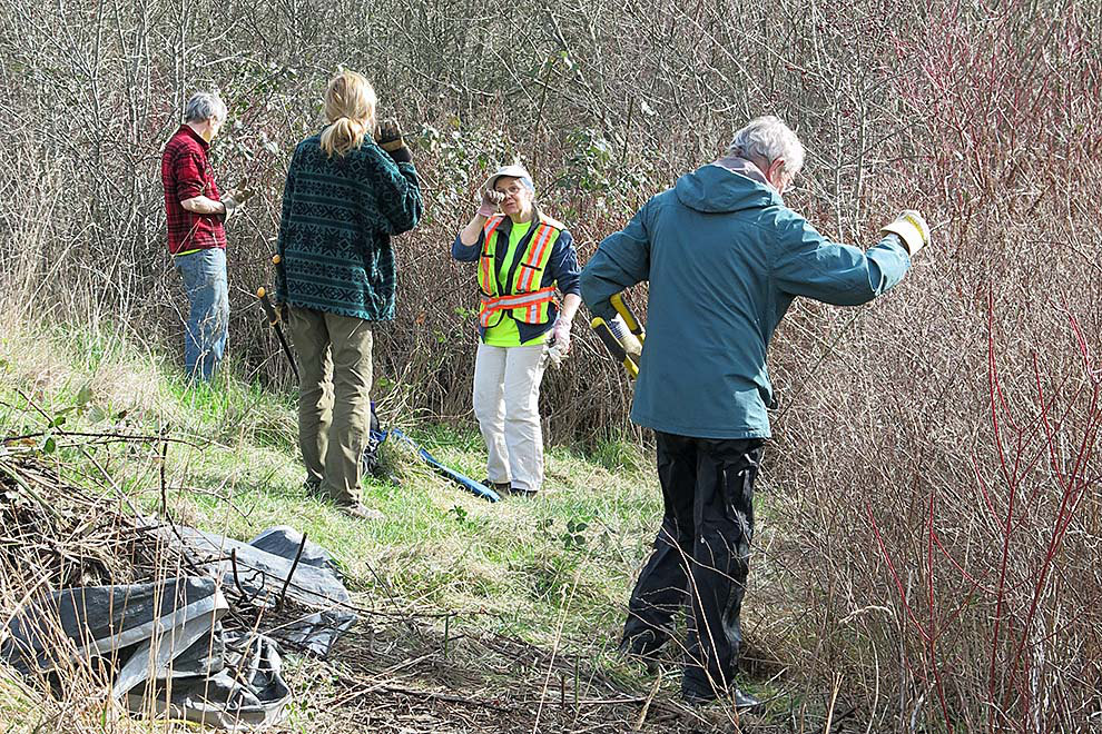 A group of people working in an urban wild area, with gathered vegetation on a tarp