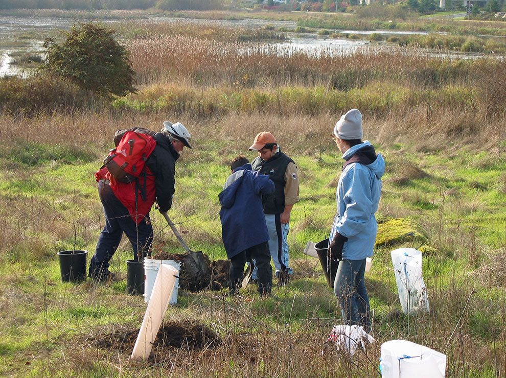 A group of people with a wetland in the background, planting trees