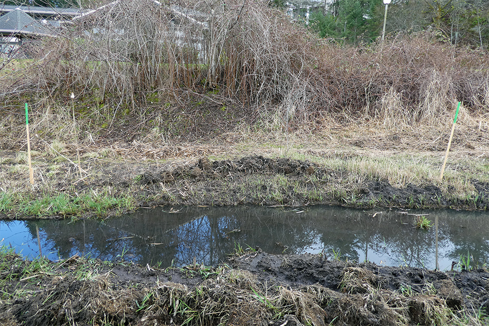 A large ditch with a body of water in the bottom largely cleared of vegetation